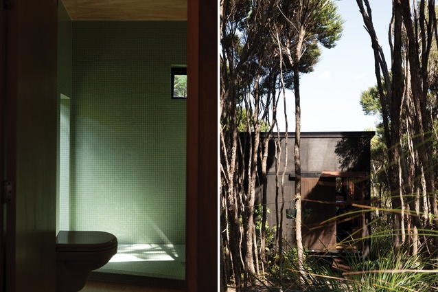 Connew Griffiths Karekare House: Two wedge-shaped buildings provide separate and distinctive studio spaces for the photographer and designer/typographer/artist owners.