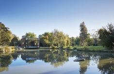 Reflections by the pond