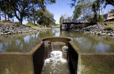 River Lane, Waiuku