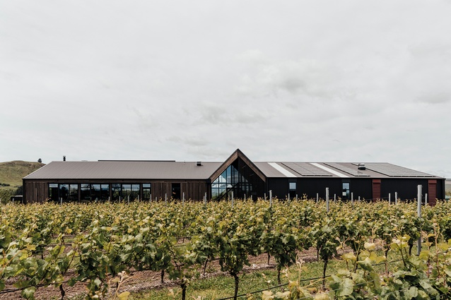 The 1100m<sup>2</sup> addition to Martinborough’s Te Kairanga vineyard houses both hospitality and distillery, with a barrel hall below.