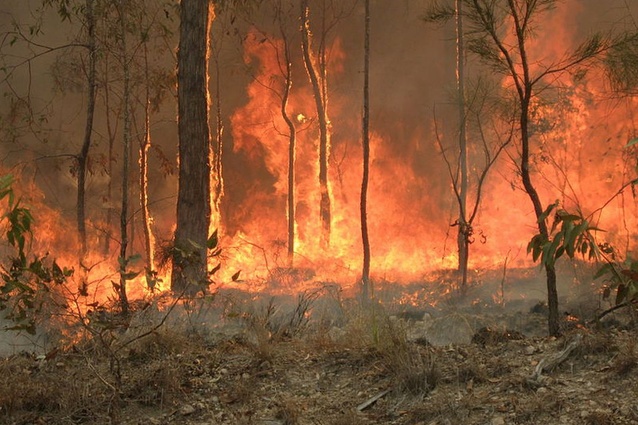 An Australian architect and former Country Fire Authority member, cautions patience to those looking to offer aid to those affected by the bushfires.
