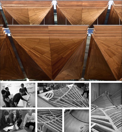 The construction of the kauri canopies.