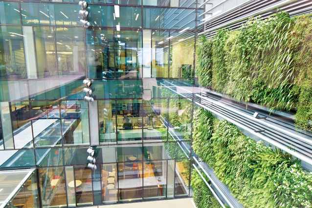 One of two significant green walls in the atrium of the East Building. The base building was designed by Australian firm Johnson Pilton Walker working with Peddle Thorp Architects in Auckland.