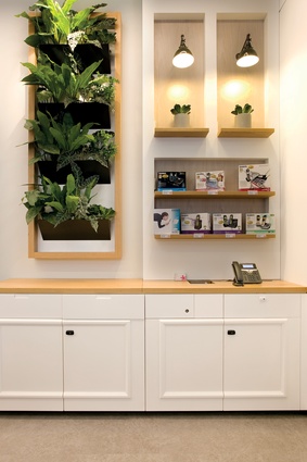 The kitchen shelf setup at the rear of the store, along with the green wall, creates a welcoming environment.