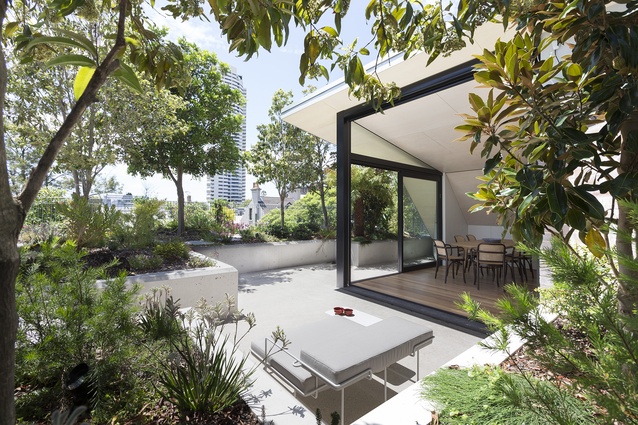 Darlinghurst Rooftop (NSW) by CO-AP (Architects).