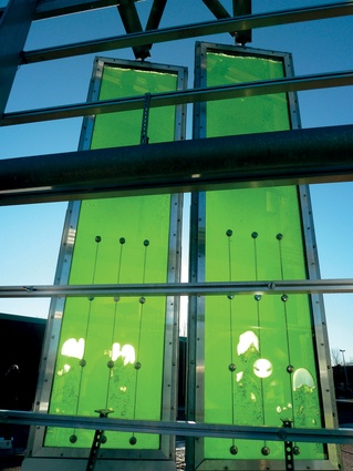 A world first, the SolarLeaf bio-reactive algae façade, Glasstatik BIQ Hamburg, 2013.
