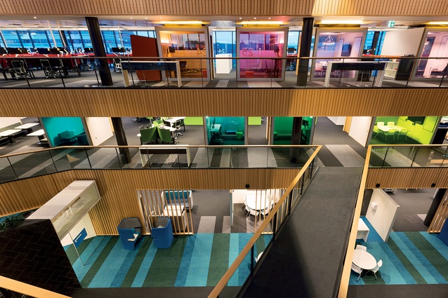 The colour scheme of the three floors reflects the Tauranga landscape, with reds for Mauao (Mt Maunganui), greens for ngahere (forest) and blues for moana (sea). 