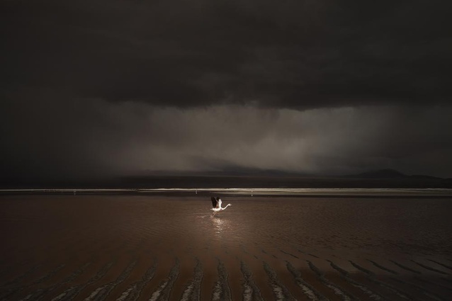 Ricardo Da Cunha from Australia: runner-up International Landscape Photographer of the Year.