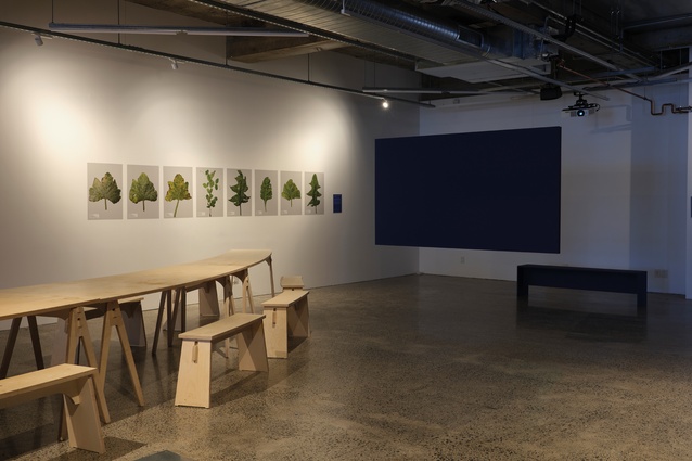 <em>Sky Table</em> by the Boil Up Crew and Slow Boil Collective, with Forensic Architecture’s <em>Herbicidal Warfare in Gaza</em> leaf series prints on the wall behind.