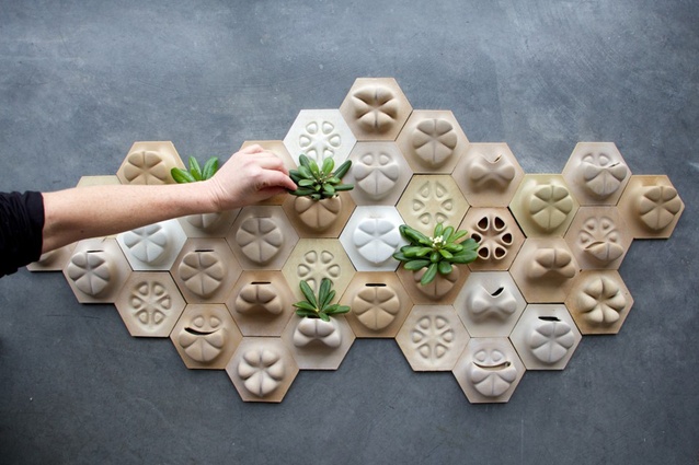 Made by Emerging Objects, the Planter tiles are 3D printed cement hexagonal tiles that close pack together.
