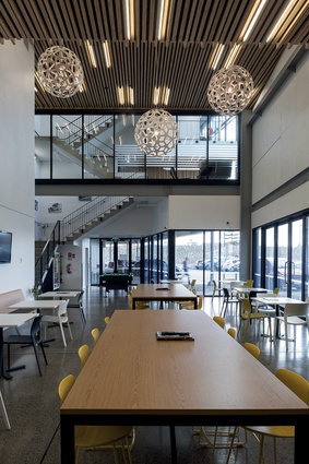 The cafe-style lunchroom has views up into the main lobby and stairwell, and features a double-height, staggered ceiling which is lined with timber slats. 
