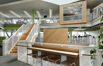 Through the vines: Zespri HQ