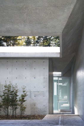 The forested surrounds are a key feature of the house, seen through gaps between walls and roof and from every window.
