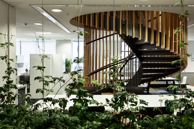The staircase’s descent to the working floor, framed in greenery, and described as a ‘market place’ for the sharing of knowledge by the designers.