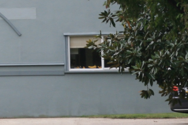 The three ducks can be seen here in the window.