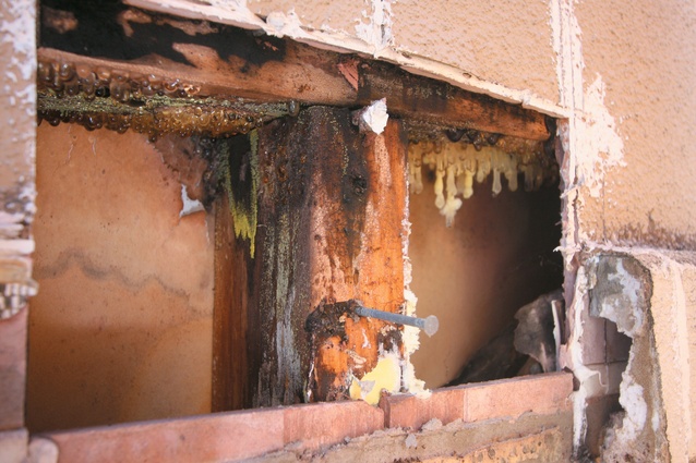 Damage behind a wall in a residential dwelling.