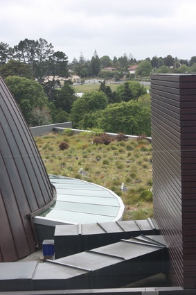 A living roof planting, designed by the author and Robyn Simcock, trialling a range of New Zealand indigenous plants at Auckland Council Waitakere Service Centre.