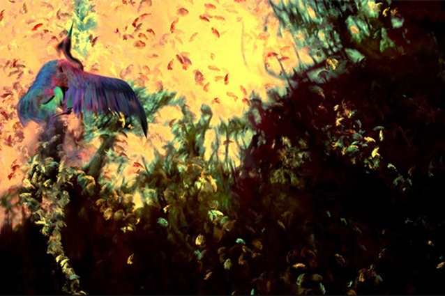 Phoenix Rising from Vincent Ward's film What Dreams May Come.