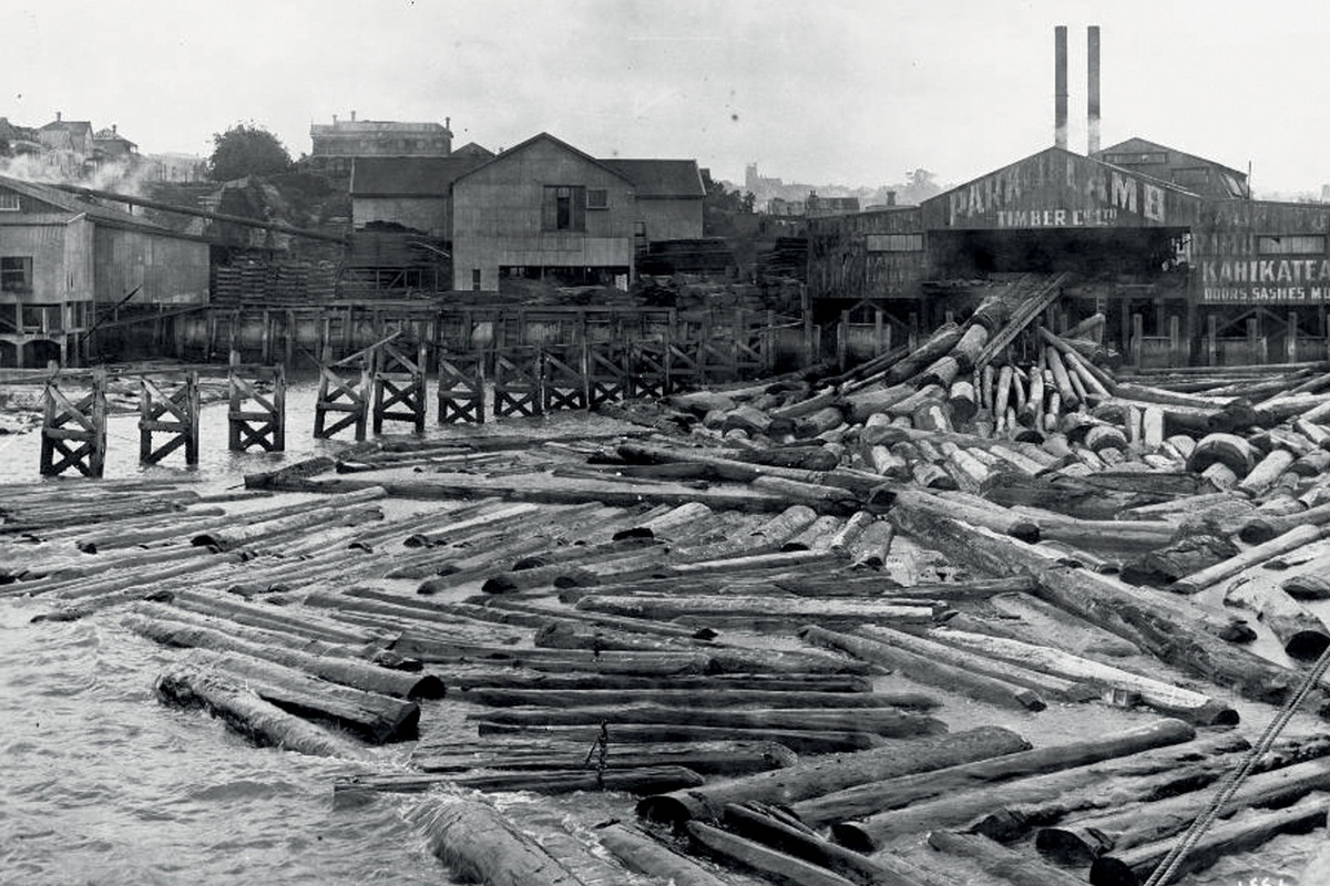 Honouring the old Kauri Timber Building Architecture Now