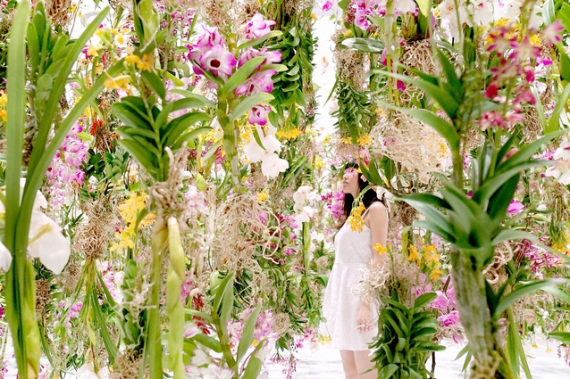 The individual flowers are programmed to respond as people move through the space.