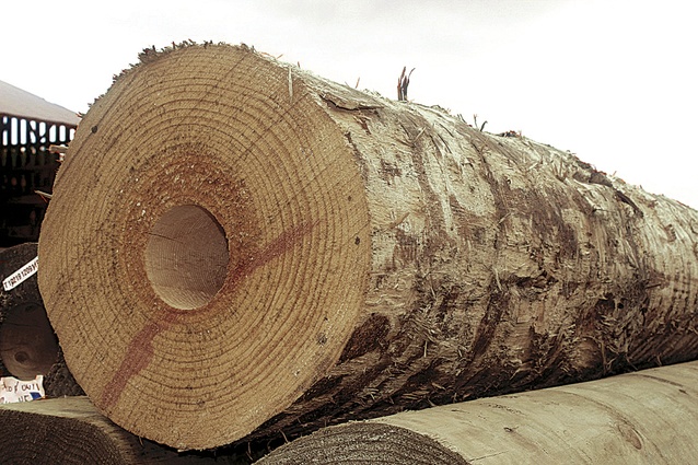 The central structural. cored round logs, were developed by a wood manufacturer in Tuakau and trucked to site.