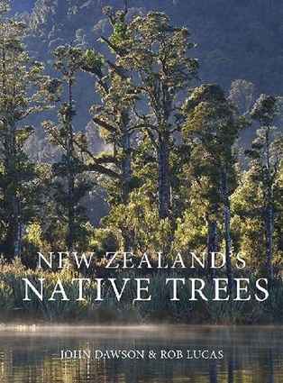 New Zealand's Native Trees by John Dawson & Rob Lucas (Craig Potton Publishing).