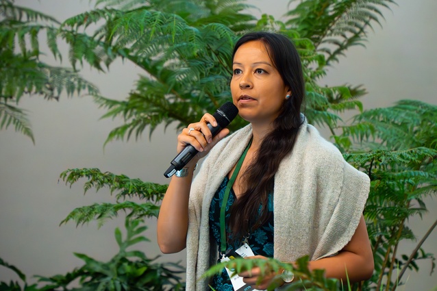 Indigenous scholar (Navajo Nation, USA), community organiser, PhD student, and anthropologist Dr Lyla June Johnston.