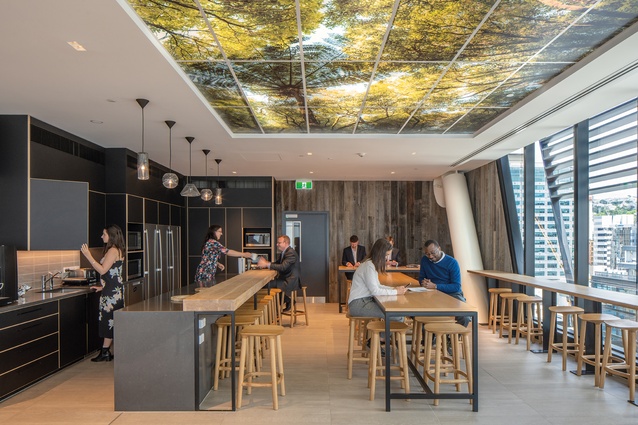 The ceiling of the staff hub on the central floor features Palsun PSP panels printed with images of a forest canopy in the Wellington area. The wall covering is from VidaSpace.