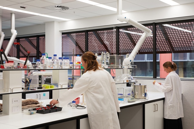 The laboratory interior has views across into the workplace wing.