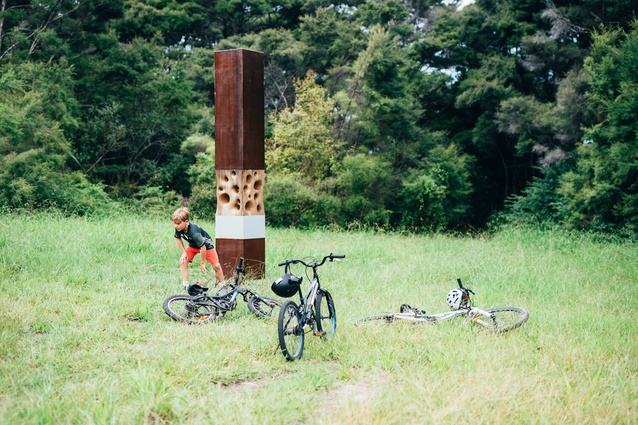 The position of the cavities on the marker is dictated by the environment – whether it be forest floor, tree canopy, meadow, constructed pond or mudflat.