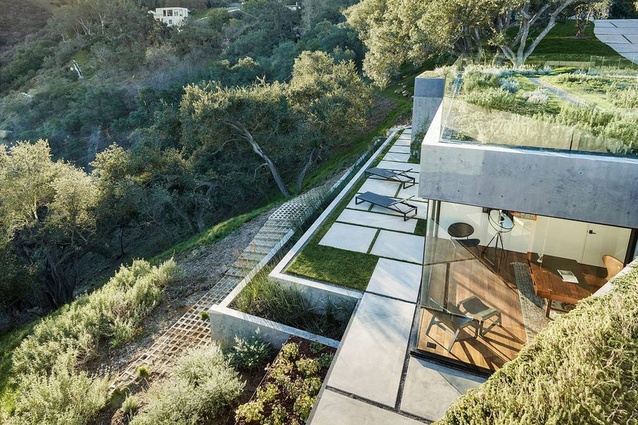 A green roof with herbs covers the house and stitches the form into the landscape. 