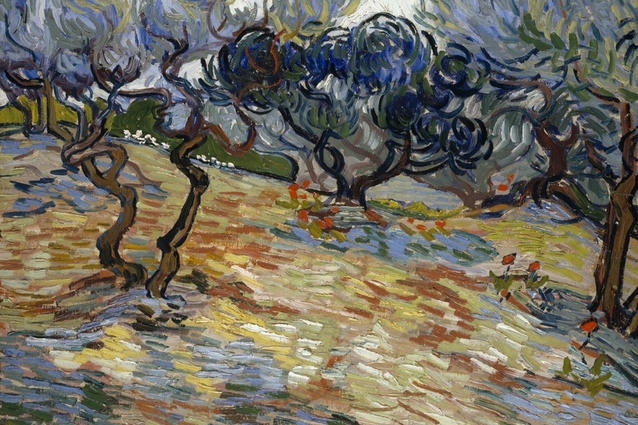 Vincent van Gogh, Olive Trees, Scottish National Gallery   © Trustees of the National Galleries of Scotland.
