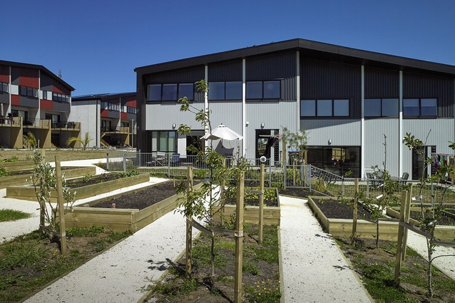 Housing – Multi Unit category finalist: Kāinga Tuatahi, Auckland by Stevens Lawson Architects.