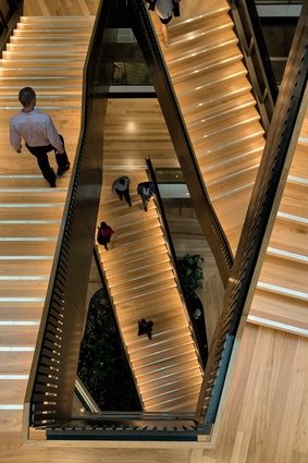 The prominence of the stairs in the atrium helps create a hive-like, busy atmosphere.