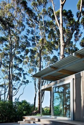 Bach with Two Roofs, Golden Bay. Materials were chosen to blend with the surrounding bush and the dappled forest light.