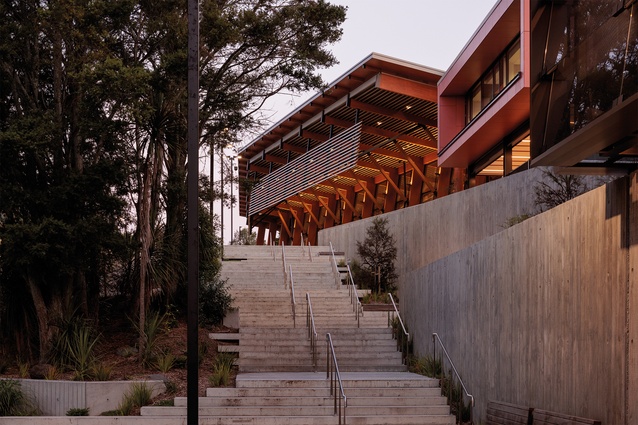 A landscaped gully links the three campus lakes to the Hillcrest ridge. At the top of the stairs, one passes through a pivotal central terrace that connects the existing library to a grand loggia, activated by the Student Hub.