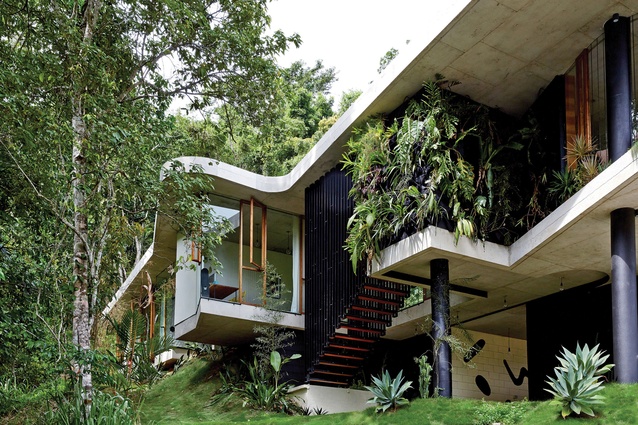 Australian House of the Year and winner of New House over 200 m<sup>2</sup>: Planchonella House by Jesse Bennett Architect. 