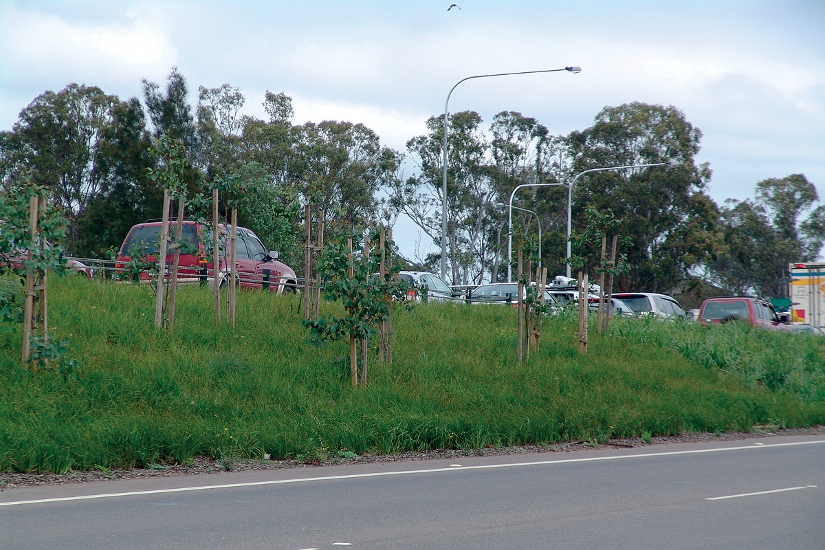 Green life for erosion control Architecture Now