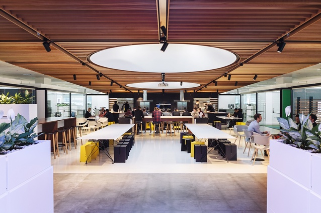 The Fisher & Paykel Product Development workplace was runner up and a Gold Pin recipient.