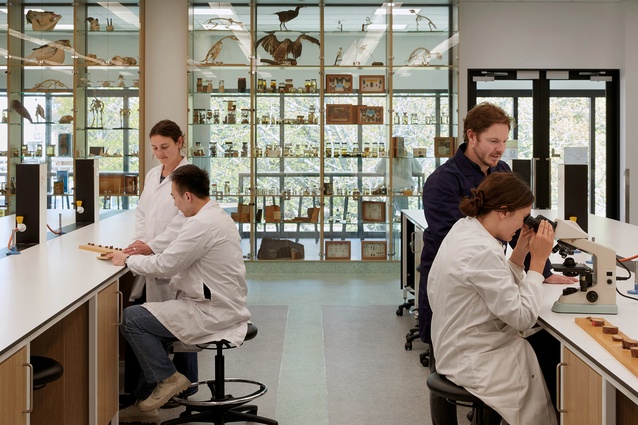 Teaching labs are separated by vitrines displaying some of Lincoln University’s specimen collection.