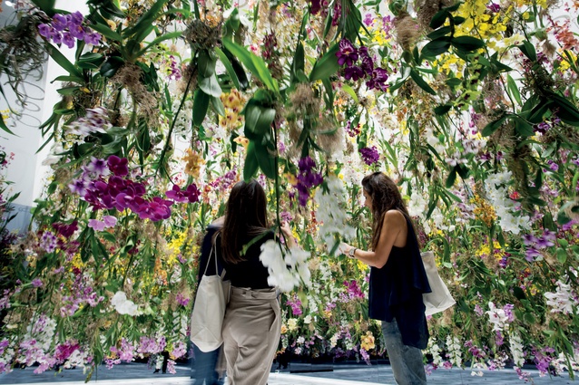 TeamLab used 400 living orchids to create this interactive exhibit. 