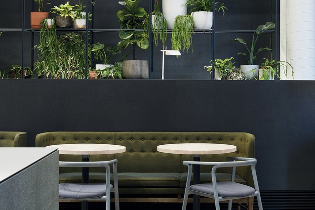 Best Cafe Design winner: Higher Ground, Melbourne by DesignOffice.