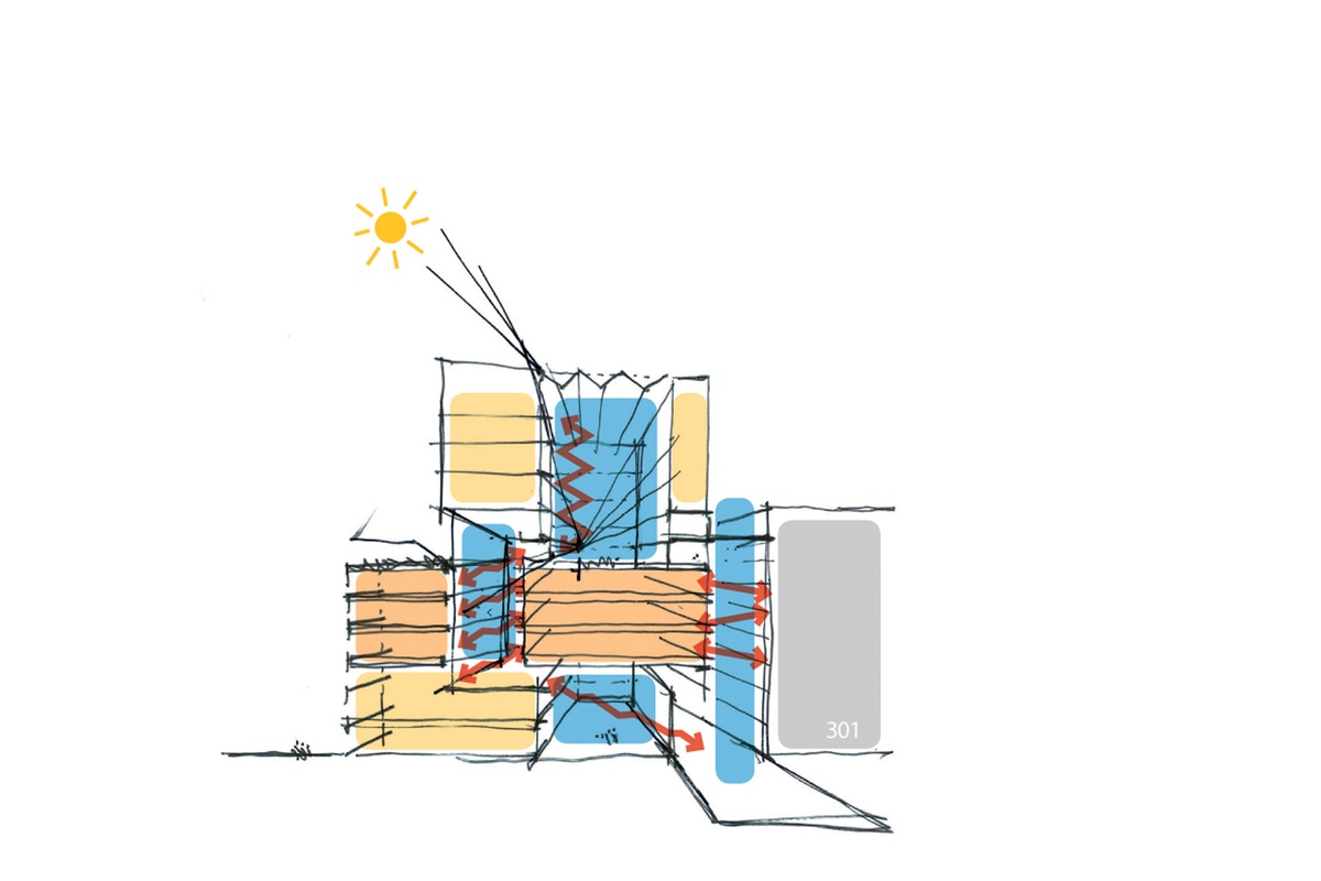Social pathways UoA Science Centre Architecture Now