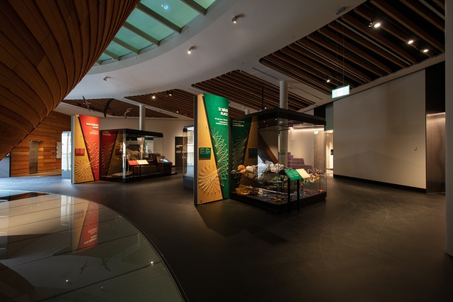 The first floor of the museum, outside the suspended tanoa, features teaching and display spaces.