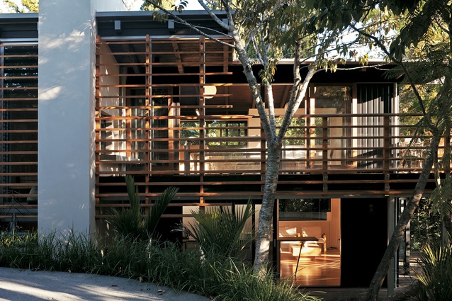 Glade house, Auckland. Design by Strachan Group Architects, 2012. The defined vertical stems of the lancewood make a nice counterpoint to the horizontality of the architecture.