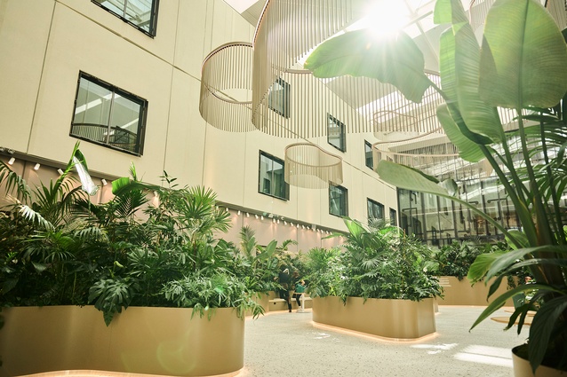 An entirely community-funded project, the Healing Garden is located within the central atrium of Tōtara Haumaru, a new 19,600sqm four-storey hospital building designed by Jasmax at Auckland’s North Shore Hospital.