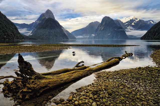 The light-play of shadows on Mitre Peak in the Milford Sound inspired the form of the Milford Desk.