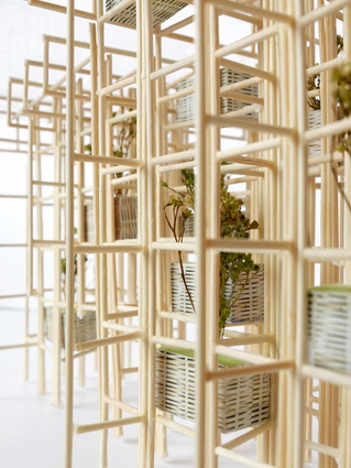A scale model of the pavilion highlights how vegetation is incorporated into the bamboo grid in a contained and curated manner.