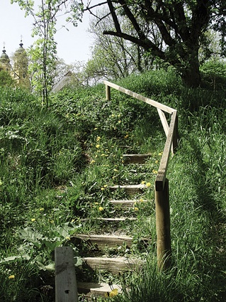 Simple wooden steps and handrail.