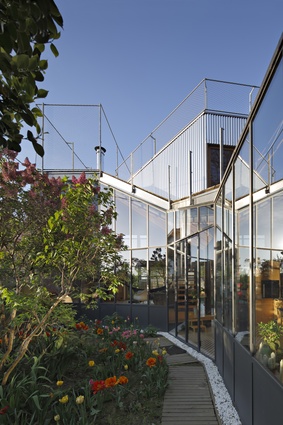 The new extension creates a strong connection with the colourful garden.